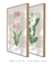Conjunto 2 Quadros Decorativos - Tulipa Renascer, Jasmim Encantar - loja online