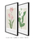 Conjunto 2 Quadros Decorativos - Tulipa Renascer, Jasmim Encantar - Larissa Ferreira Art Quadros