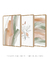 Conjunto 3 Quadros Decorativos - Abstrato Coralina B, G, Ramos Clivias - loja online