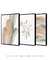 Conjunto 3 Quadros Decorativos - Abstrato Coralina B, G, Ramos Clivias