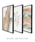Conjunto 3 Quadros Decorativos - Abstrato Coralina B, G, Ramos Clivias