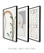 Conjunto 3 Quadros Decorativos - Abstrato Olivia II, Nuances III, Borboletas Inconstante H na internet