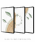 Conjunto 3 Quadros Decorativos - Minimalista Cálido I e II, Arco Tropical