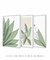 Conjunto 3 Quadros Decorativos - Palmeira Tropical B, Folhas Sutis B, Florear Tropical B - Larissa Ferreira Art Quadros