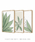 Conjunto 3 Quadros Decorativos - Palmeira Tropical B, Folhas Sutis B, Florear Tropical B - loja online