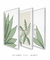 Conjunto 3 Quadros Decorativos - Palmeira Tropical B, Folhas Sutis B, Florear Tropical B - comprar online