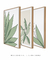 Conjunto 3 Quadros Decorativos - Palmeira Tropical B, Folhas Sutis B, Florear Tropical B - loja online