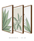 Imagem do Conjunto 3 Quadros Decorativos - Palmeira Tropical B, Folhas Sutis B, Florear Tropical B