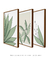 Conjunto 3 Quadros Decorativos - Palmeira Tropical B, Folhas Sutis B, Florear Tropical B