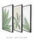 Conjunto 3 Quadros Decorativos - Palmeira Tropical B, Folhas Sutis B, Florear Tropical B na internet