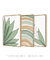 Imagem do Conjunto 3 Quadros Decorativos - Palmeira Tropical B, Verano II, Florear Tropical B