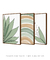 Imagem do Conjunto 3 Quadros Decorativos - Palmeira Tropical B, Verano II, Florear Tropical B