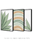 Conjunto 3 Quadros Decorativos - Palmeira Tropical B, Verano II, Florear Tropical B