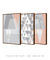 Conjunto 3 Quadros Decorativos - Trapezes Cold, Cold Grey, Cold Rose