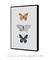 Quadro Decorativo Borboleta de Noir