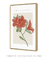 Quadro Decorativo Flor Azaleia - Perceverar - loja online