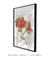 Quadro Decorativo Flor Azaleia - Perceverar na internet
