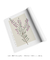 Quadro Decorativo Flor Erica - Contemplar - comprar online