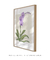 Imagem do Quadro Decorativo Flor Orquídea - Purificar
