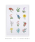 Quadro Decorativo Minimalista Florais - comprar online