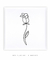 Quadro Decorativo Minimalista One Line Rosa Flor - Quadrado - comprar online