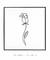 Quadro Decorativo Minimalista One Line Rosa Flor - Quadrado - comprar online