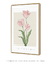 Quadro Decorativo Tulipa - Renascer - loja online