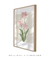Quadro Decorativo Tulipa - Renascer - loja online