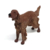 Miniatura de Cachorro Irish Red Setter Cachorrinho Brinquedo - Gulliver - comprar online