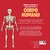 Livro Muitas perguntas e respostas sobre o corpo humano - comprar online