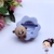 DF0667MD Molde Shooky BT21-BTS - comprar online