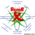 BOMB X (clones) na internet
