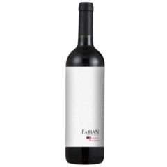 Vinho Fabian Intuição Cabernet Sauvignon 750ML