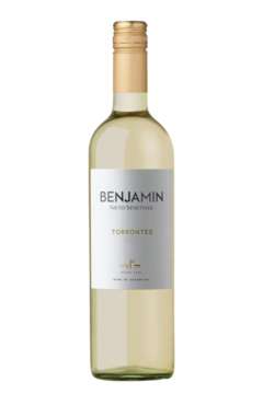 Vinho Benjamin Nieto Torrontes 750ml