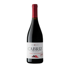 Vinho Cabriz DOC DAO Colheita Selecionada Tinto 750ml