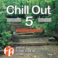Chill Out 5