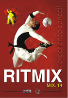 Ritmix 14 DVD
