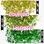 GHC1 Glitter Chunky holográfico Poliéster Importado resina unha 30gr