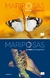 MARIPOSAS SOLARES DE LA ARGENTINA