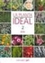 LA PLANTA IDEAL 2 - comprar online