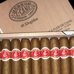 FLOR DE CANO ELEGIDOS X1 (DESNUDO) - CUBA - Estate Pipes Buenos Aires