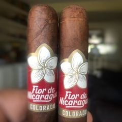 FLOR DE NICARAGUA COLORADO TORO X1 (CELOFAN) - NICARAGUA en internet