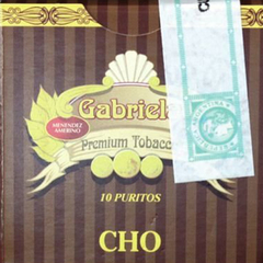 GABRIELA CHOCOLATE CAJA X10