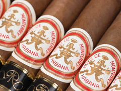 Hoyo de Monterrey Doble Corona Gran Reserva Cosecha 2013