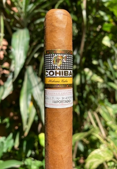 Cohiba Siglo VI x10 en internet