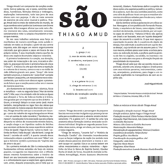 LP Thiago Amud - São contracapa