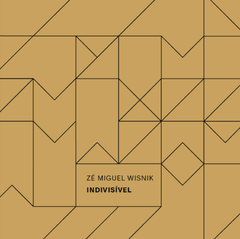 CD Zé Miguel Wisnik - Indivisível  / contracapa