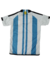 Camiseta de Argentina para adulto todos los talles!!! - comprar online