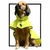 CAPA DE CHUVA MAY RAIN NEON GREEN PET