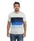 Remera Zebra MC - 10054 - Mistral